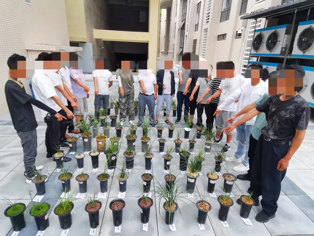 1735873048317.jpg 1735873048317.jpg