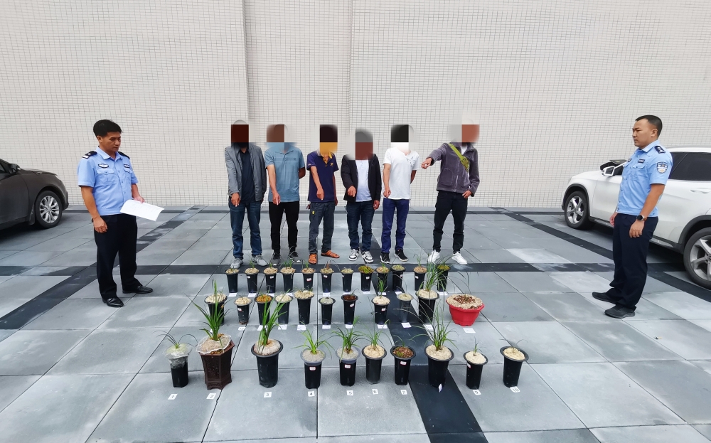 1735873055953.jpg 1735873055953.jpg